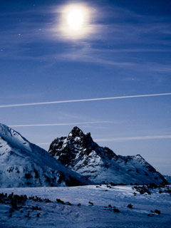 images